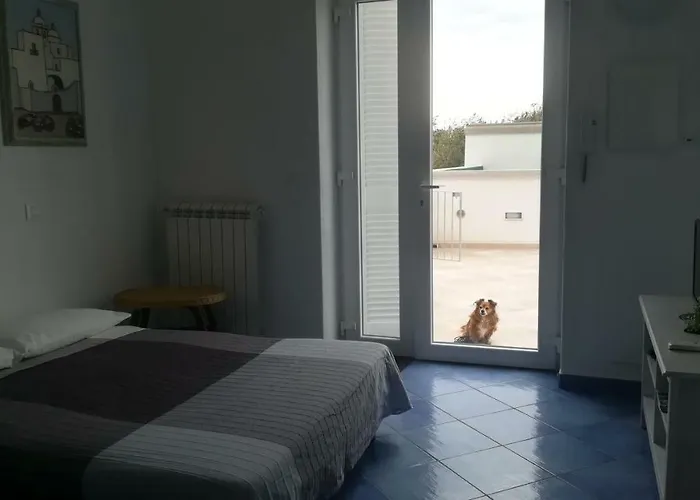 Citara Mare * Forio di Ischia