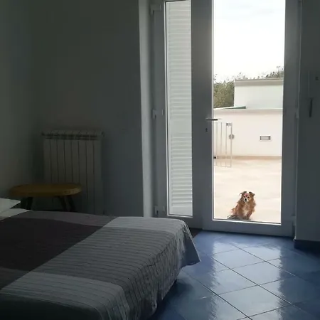 Citara Mare * Forio di Ischia